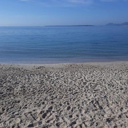 Le Palais Du Tropique Appartement Vue Mer 5E Etage Avec Ascenseur Juan-les-Pins Eksteriør billede