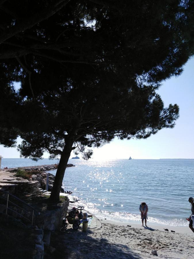 Le Palais Du Tropique Appartement Vue Mer 5E Etage Avec Ascenseur Juan-les-Pins Eksteriør billede