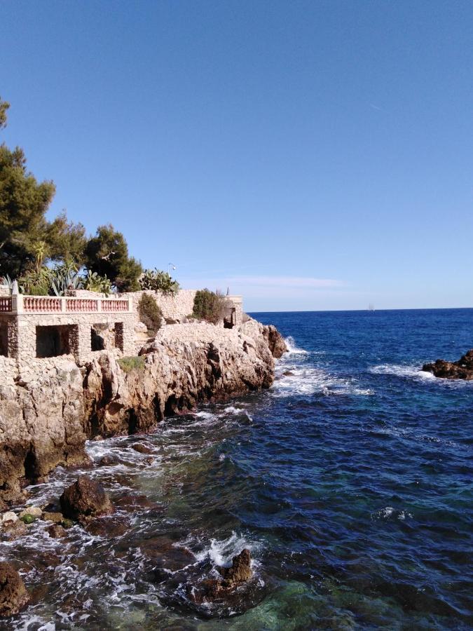 Le Palais Du Tropique Appartement Vue Mer 5E Etage Avec Ascenseur Juan-les-Pins Eksteriør billede
